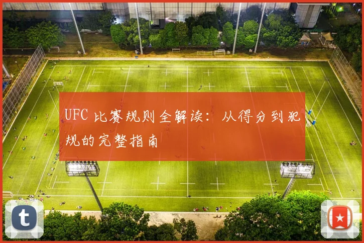 UFC 比赛规则全解读：从得分到犯规的完整指南