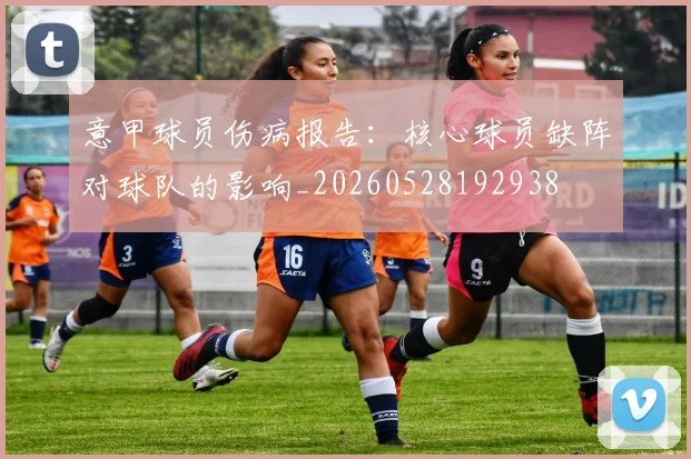 意甲球员伤病报告:核心球员缺阵对球队的影响_20260528192938